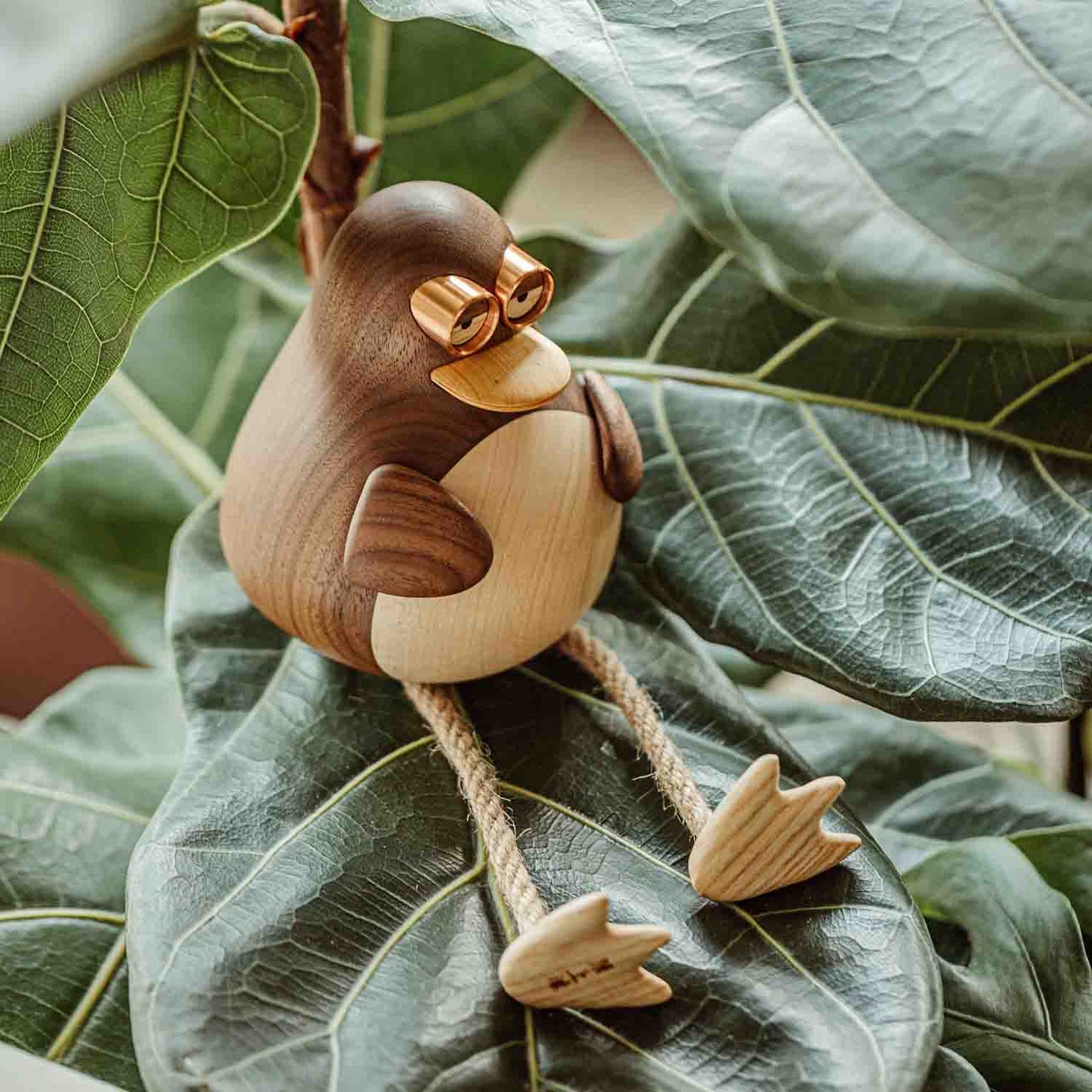 Birdy, the Long Leg Family