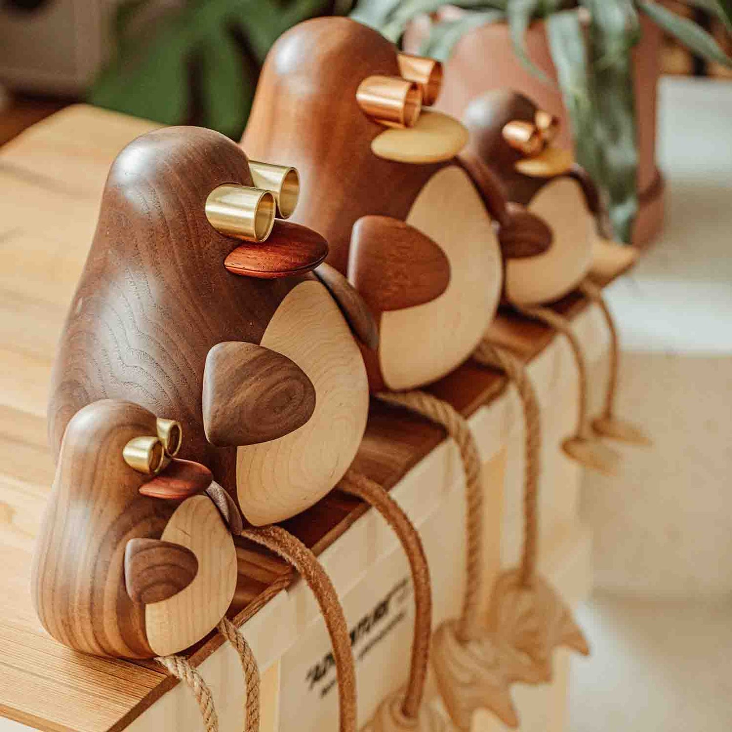 Birdy, the Long Leg Family