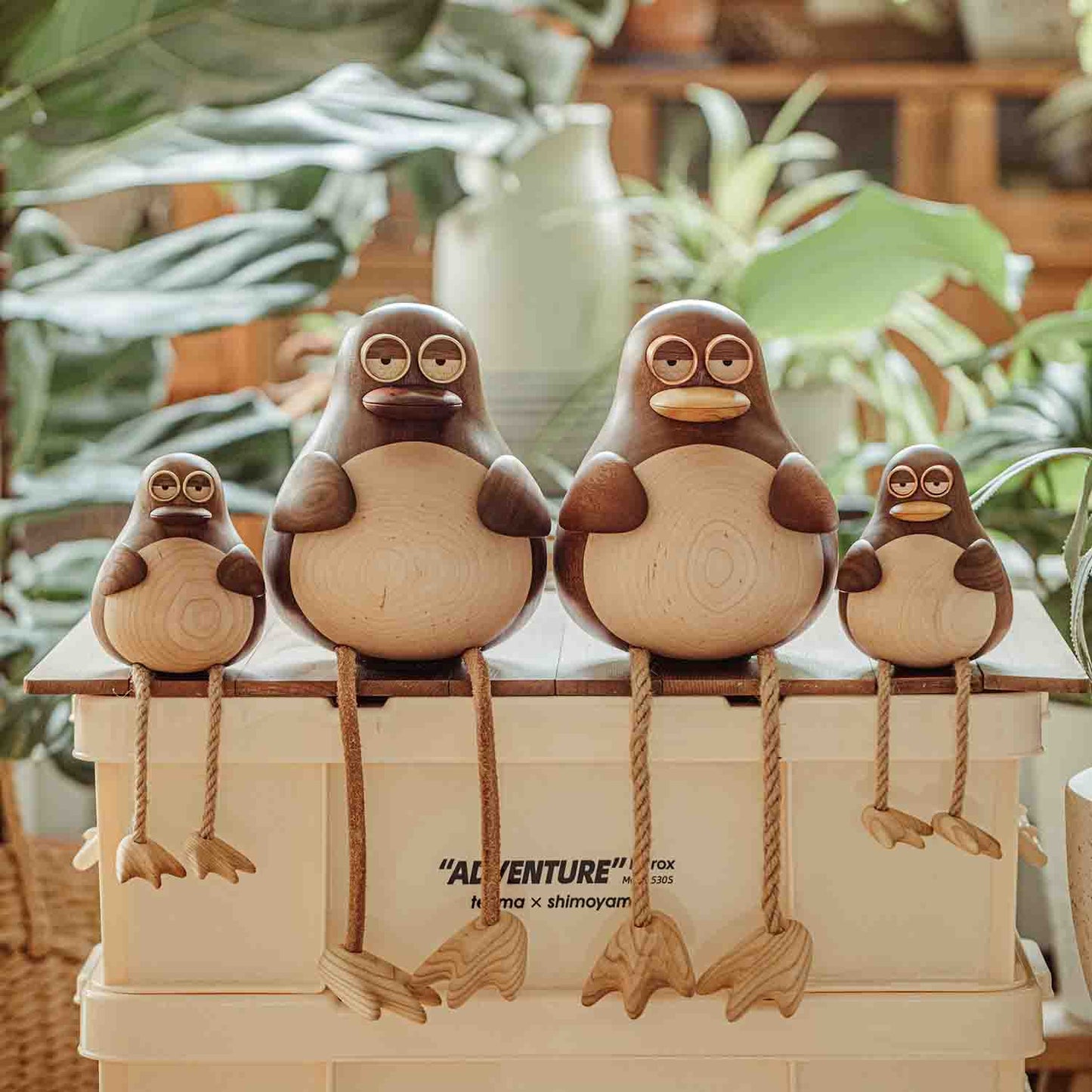 Birdy, the Long Leg Family