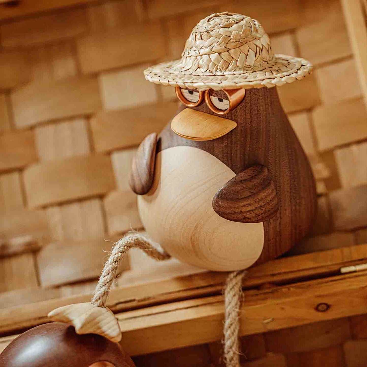 Birdy, the Long Leg Family