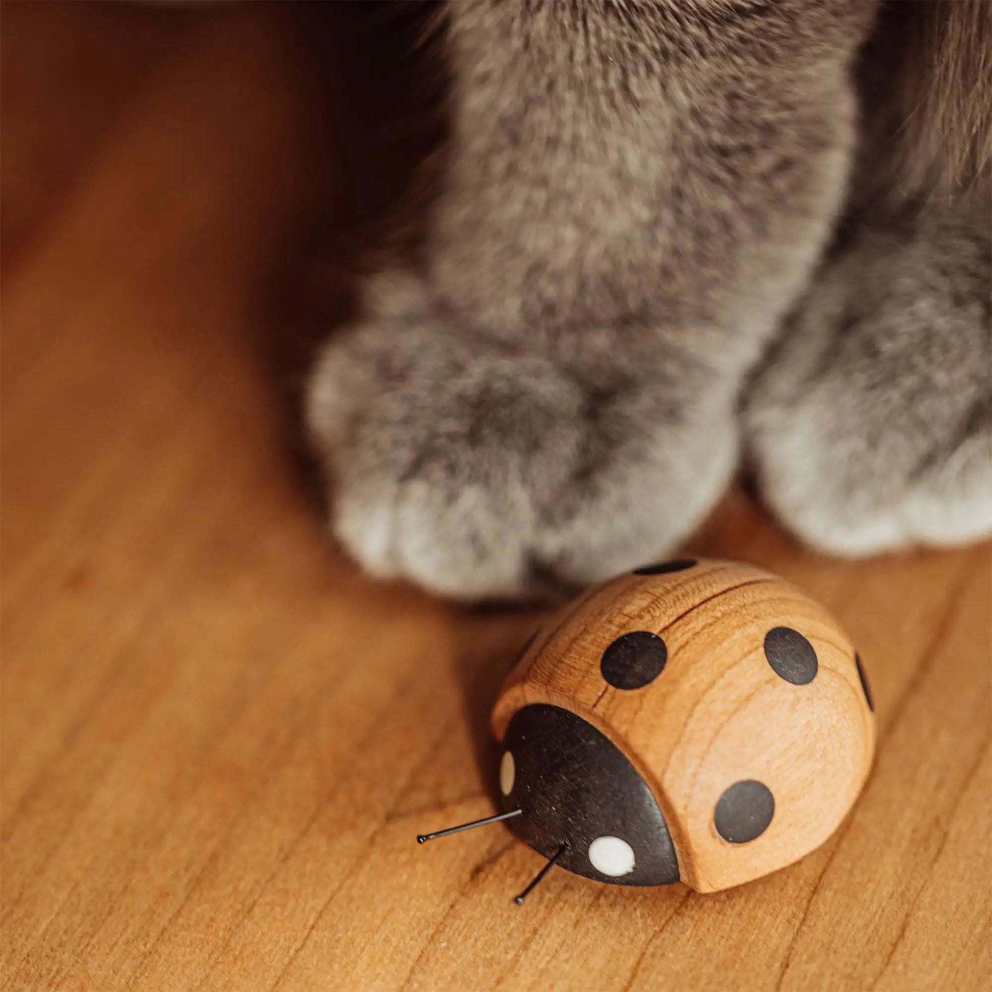 Hey, Ladybug! - Fridge Magnet natutopia