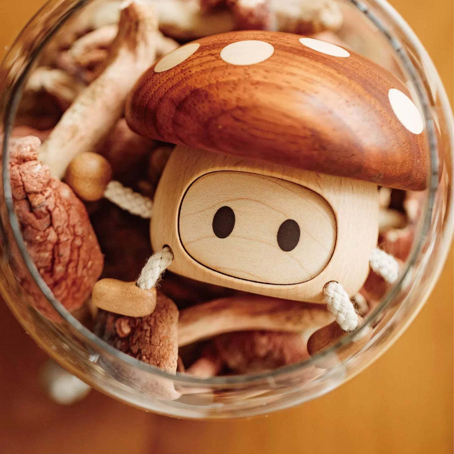 Mushroom Punk natutopia