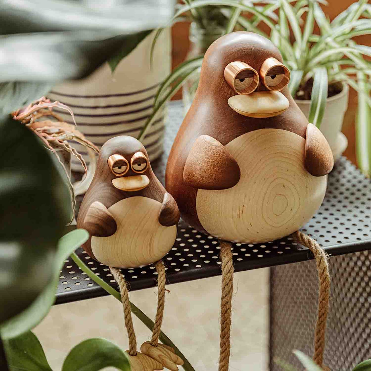 Birdy, the Long Leg Family