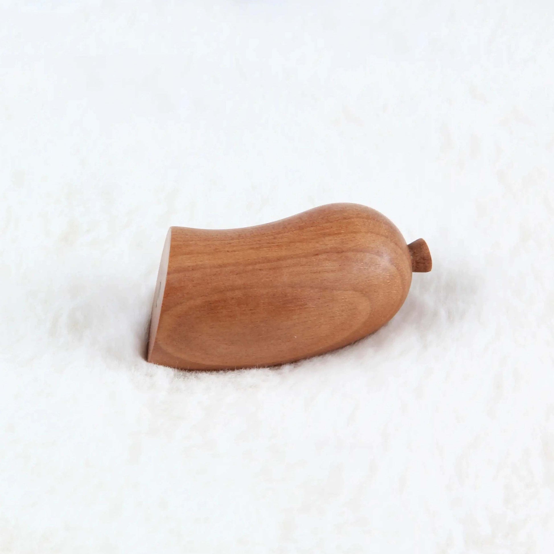 Fish, Sausage, and Drumstick - Magnet Hanger natutopia