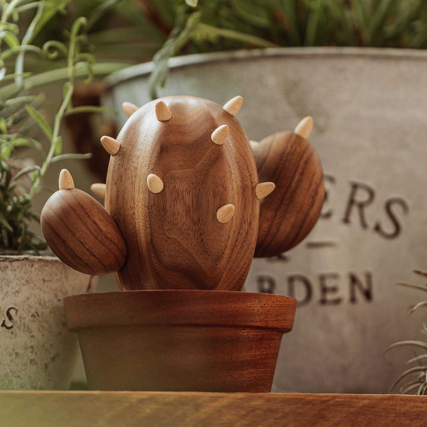Spiny Cactus - Jewelry Hanger and Box natutopia