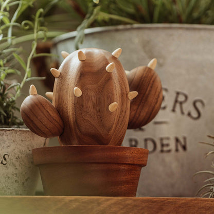 Spiny Cactus - Jewelry Hanger and Box natutopia